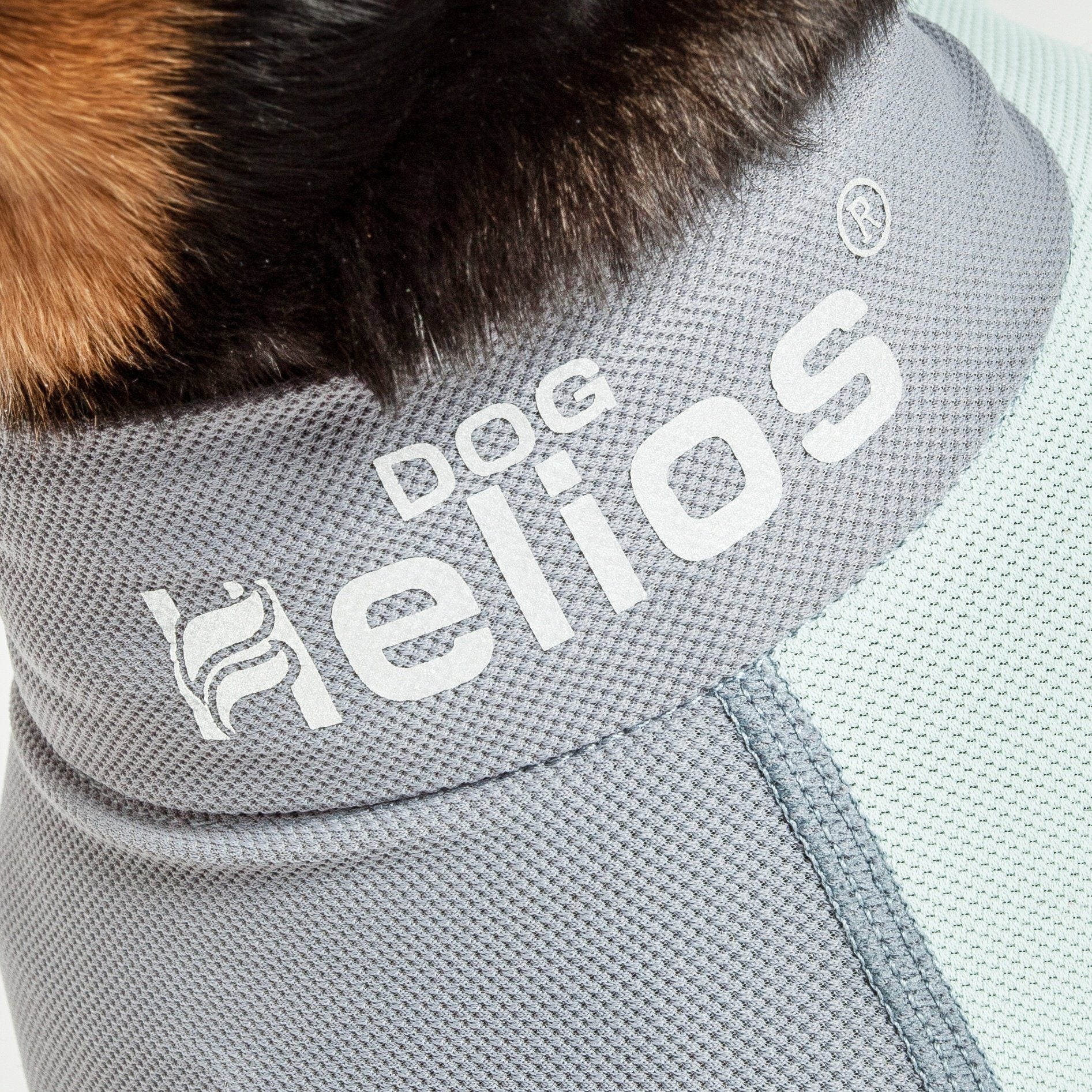 Dog Helios ® 'Tail Runner' Lightweight 4-Way-Stretch Breathable Yoga Dog Tracksuit - BIG FRENCHIES