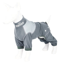 Dog Helios ® 'Tail Runner' Lightweight 4-Way-Stretch Breathable Yoga Dog Tracksuit - BIG FRENCHIES