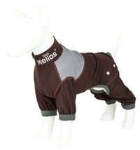 Dog Helios ® 'Tail Runner' Lightweight 4-Way-Stretch Breathable Yoga Dog Tracksuit - BIG FRENCHIES