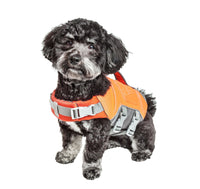 Dog Helios ® 'Tidal Guard' Multi-Point Strategically-Stitched Reflective Pet Dog Life Jacket Vest - BIG FRENCHIES