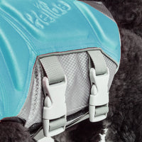 Dog Helios ® 'Tidal Guard' Multi-Point Strategically-Stitched Reflective Pet Dog Life Jacket Vest - BIG FRENCHIES