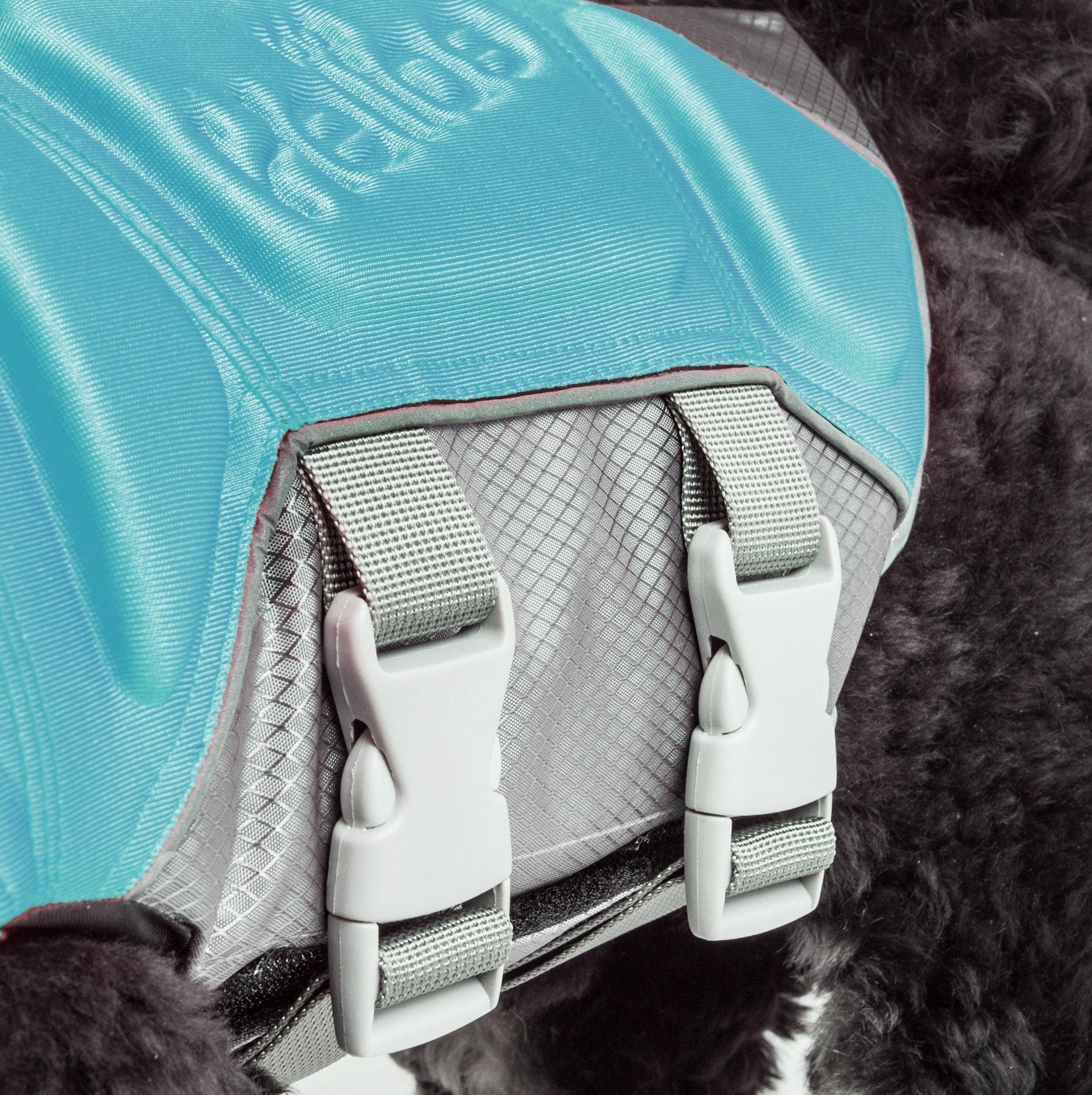 Dog Helios ® 'Tidal Guard' Multi-Point Strategically-Stitched Reflective Pet Dog Life Jacket Vest - BIG FRENCHIES