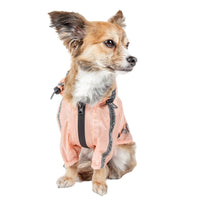 Dog Helios ® 'Torrential Shield' Adjustable and Waterproof Dog Raincoat Poncho - BIG FRENCHIES