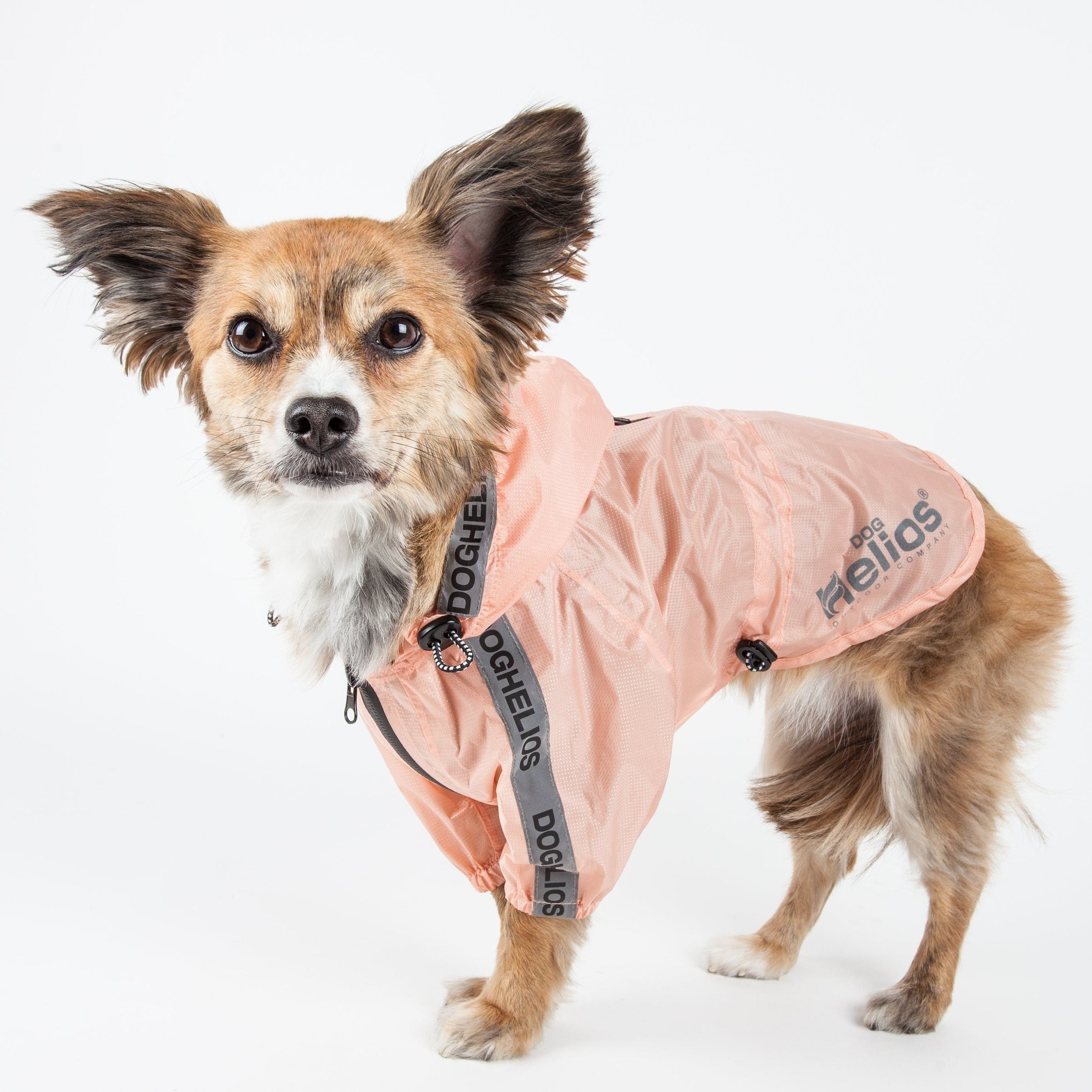 Dog Helios ® 'Torrential Shield' Adjustable and Waterproof Dog Raincoat Poncho - BIG FRENCHIES