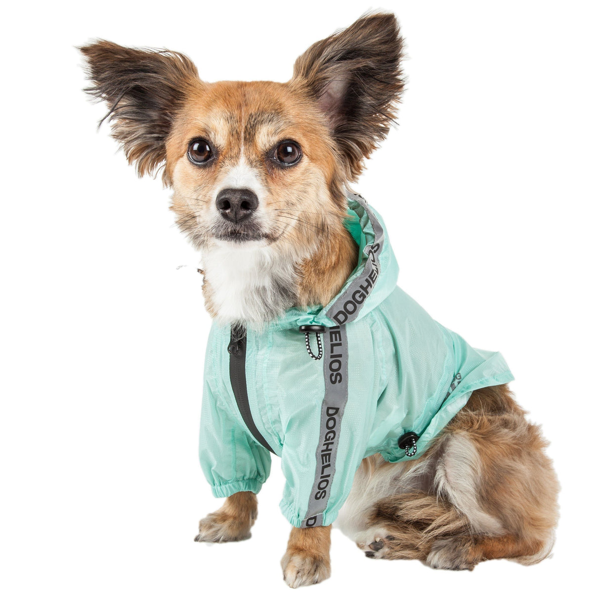 Dog Helios ® 'Torrential Shield' Adjustable and Waterproof Dog Raincoat Poncho - BIG FRENCHIES