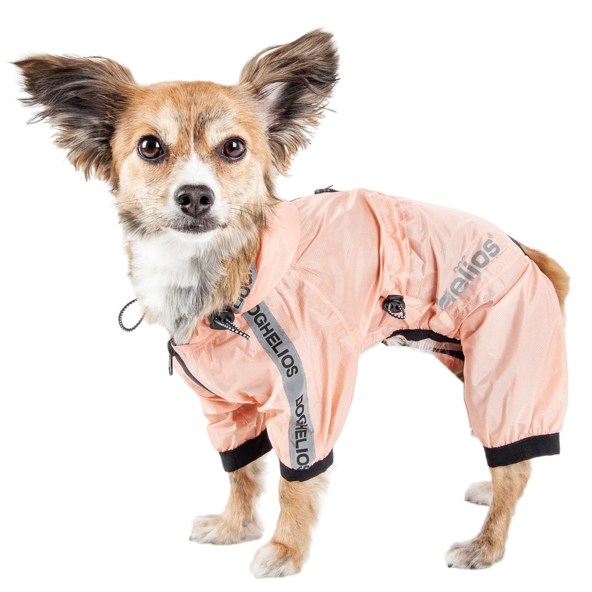 Dog Helios ® 'Torrential Shield' Waterproof and Adjustable Full Body Dog Raincoat - BIG FRENCHIES