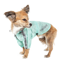 Dog Helios ® 'Torrential Shield' Adjustable and Waterproof Dog Raincoat Poncho - BIG FRENCHIES