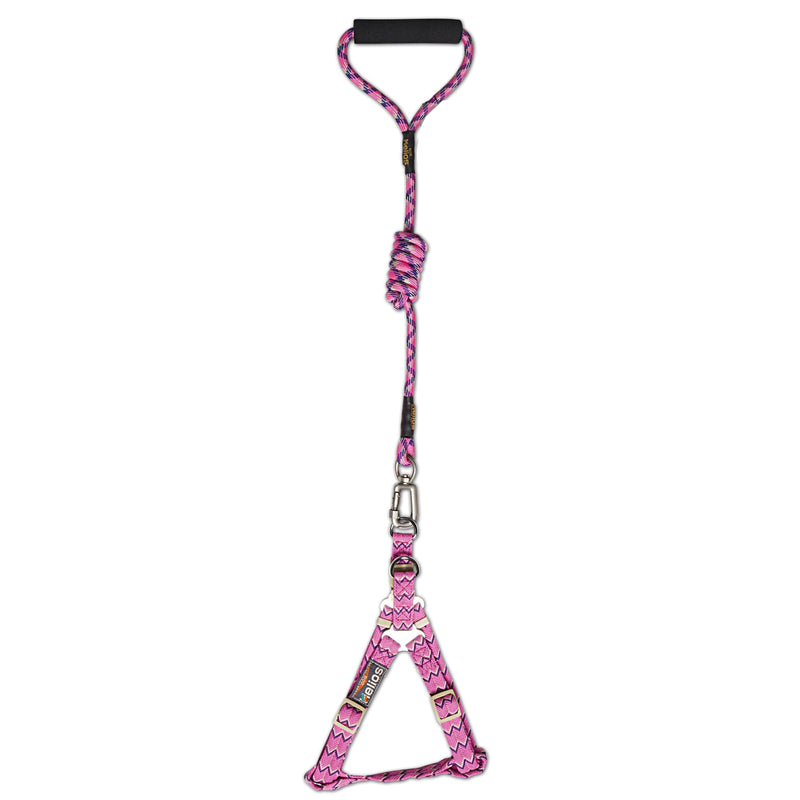 Dog Helios 'Surfside' Adjustable Dog Harness and Leash - BIG FRENCHIES