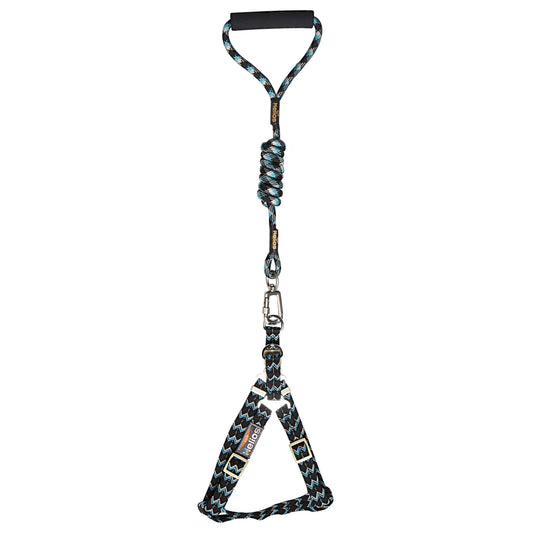 Dog Helios 'Surfside' Adjustable Dog Harness and Leash - BIG FRENCHIES