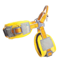Dog Helios Tripod Superior Comfort Leash and Harness - BIG FRENCHIES