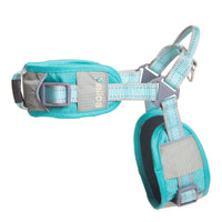 Dog Helios Tripod Superior Comfort Leash and Harness - BIG FRENCHIES