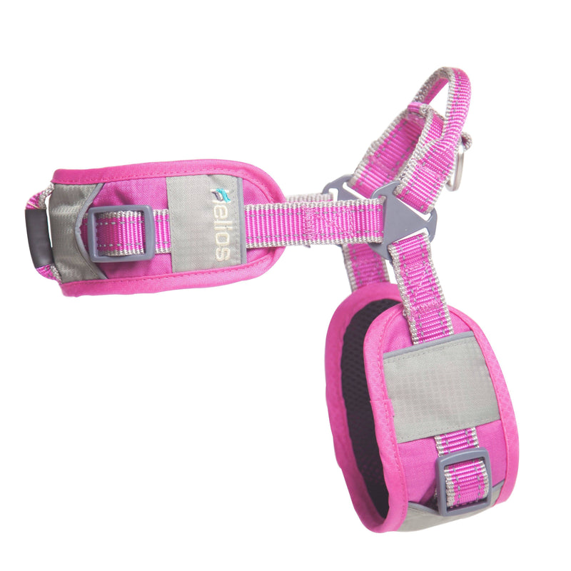 Dog Helios Tripod Superior Comfort Leash and Harness - BIG FRENCHIES