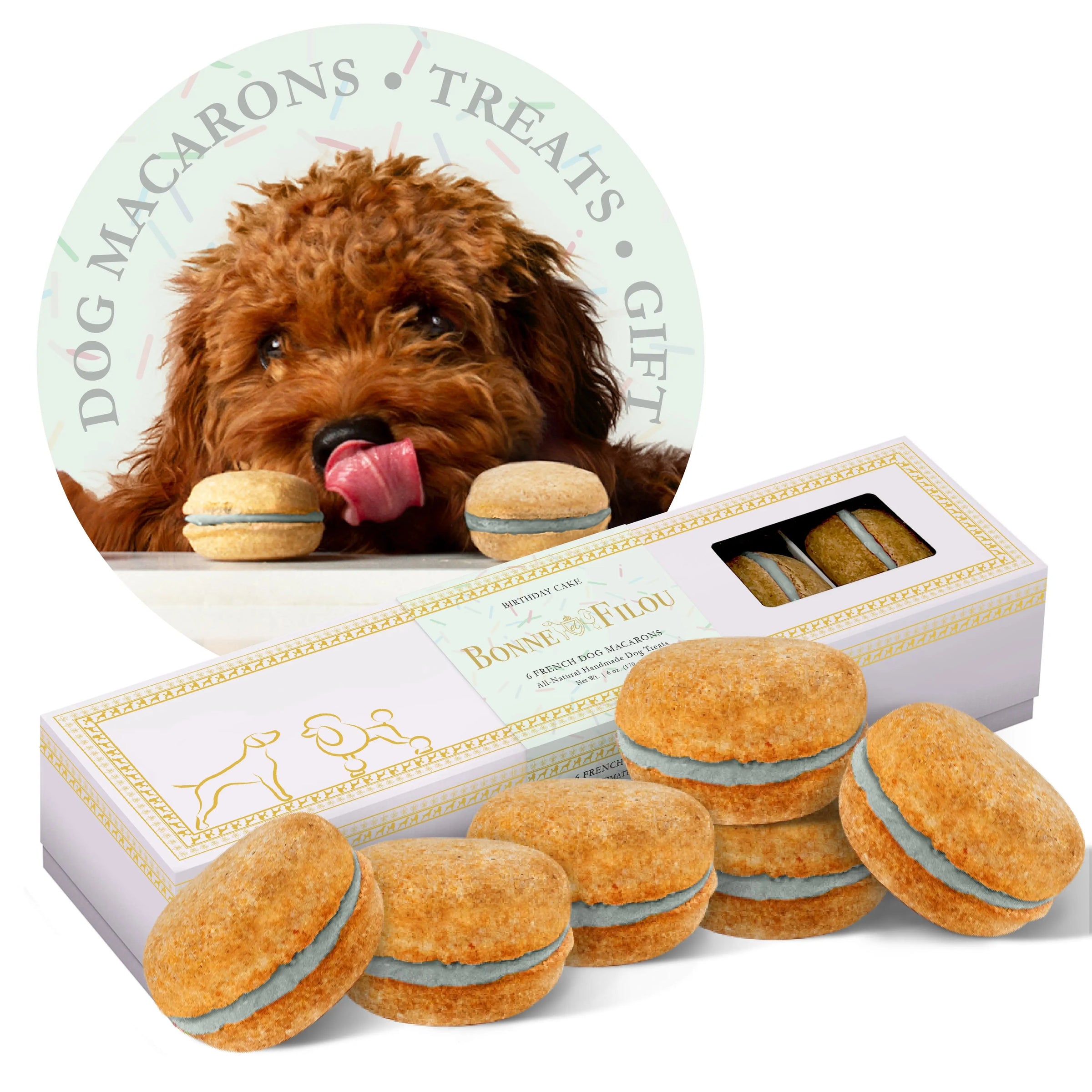 Dog Macarons (Box of 6) - BIG FRENCHIES