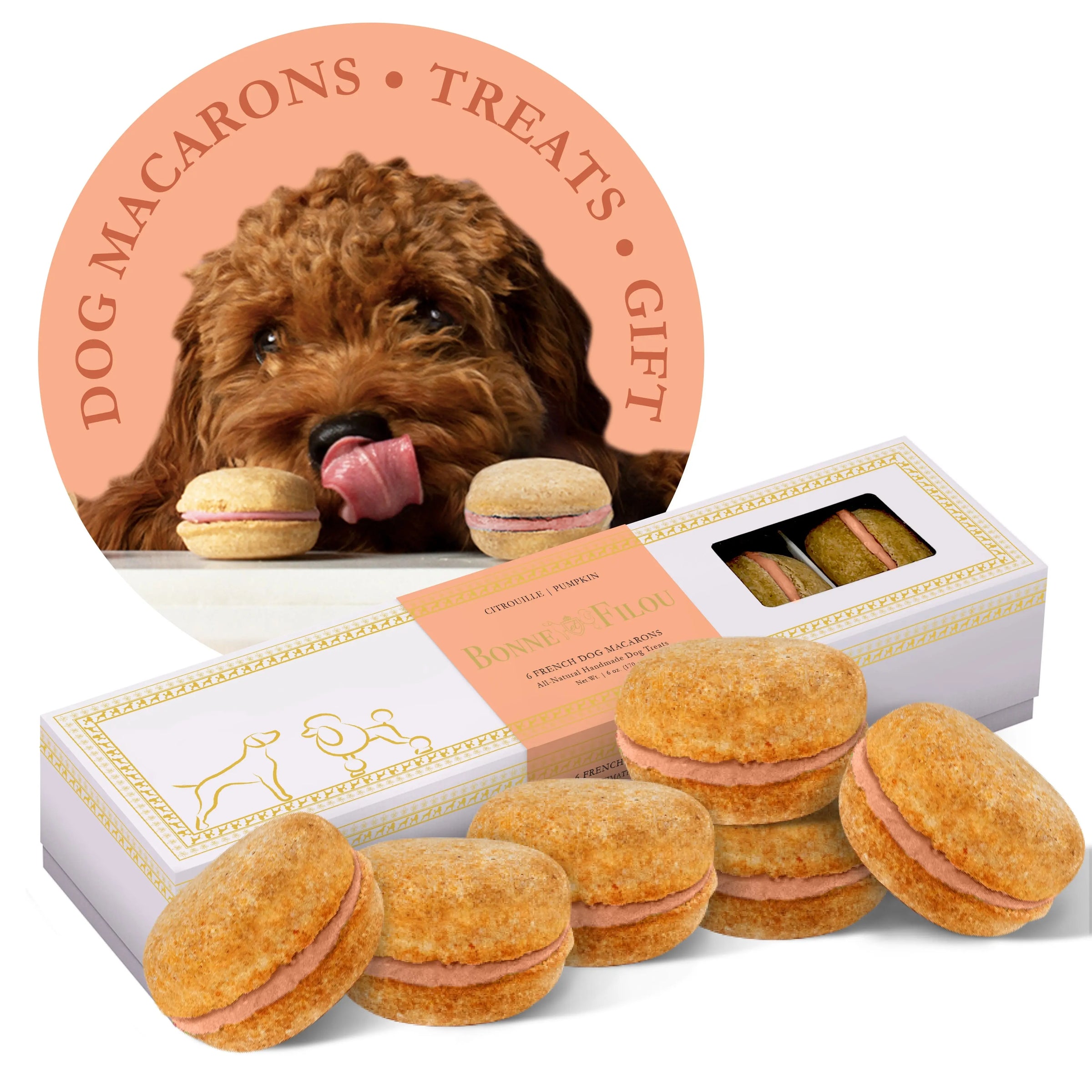Dog Macarons (Box of 6) - BIG FRENCHIES