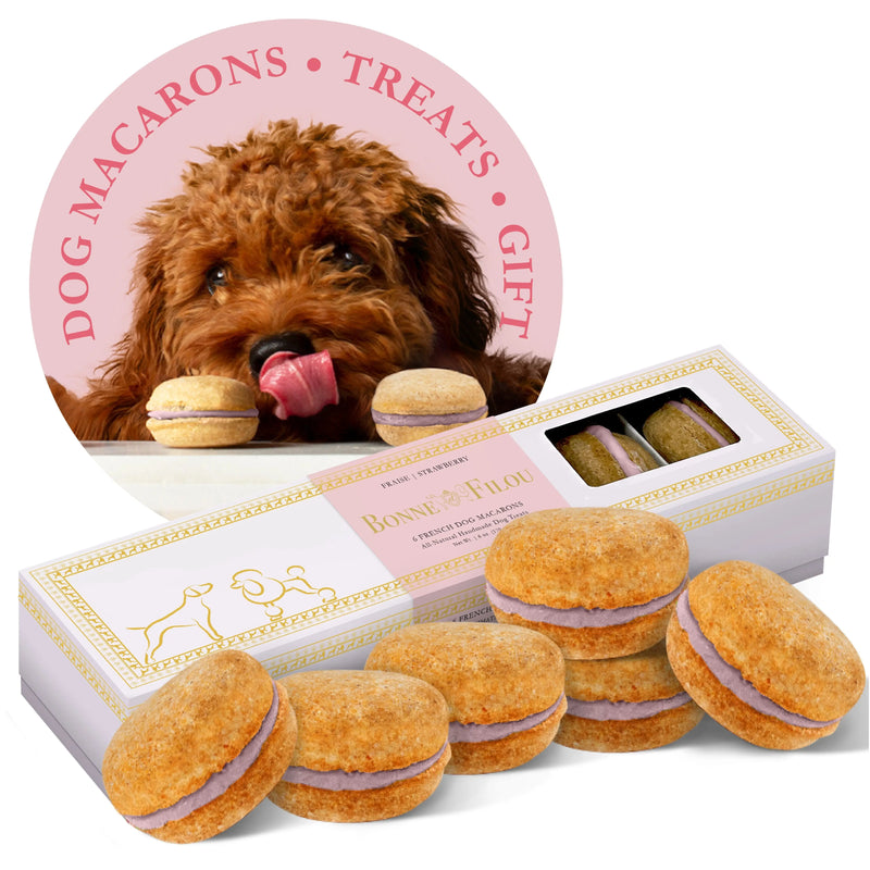Dog Macarons (Box of 6) - BIG FRENCHIES