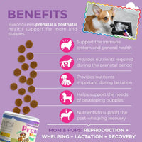 Dog Prenatal Vitamins - 120 Soft Chews - BIG FRENCHIES
