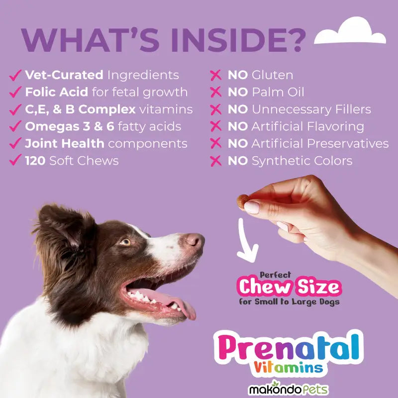 Dog Prenatal Vitamins - 120 Soft Chews - BIG FRENCHIES