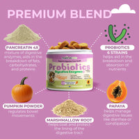 Dog Probiotics Digestive Enzymes - 120 Soft Chews - BIG FRENCHIES