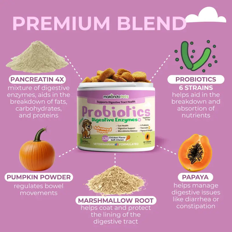 Dog Probiotics Digestive Enzymes - 120 Soft Chews - BIG FRENCHIES