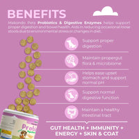 Dog Probiotics Digestive Enzymes - 120 Soft Chews - BIG FRENCHIES