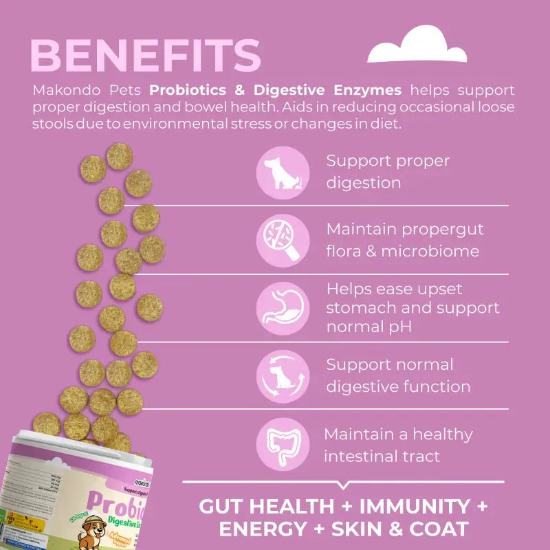 Dog Probiotics Digestive Enzymes - 120 Soft Chews - BIG FRENCHIES