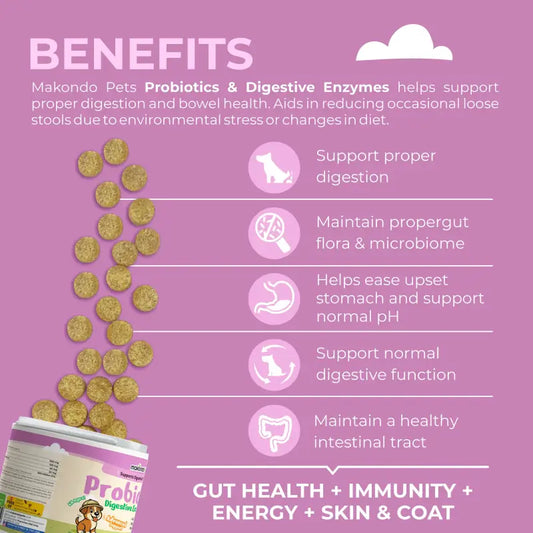 Dog Probiotics Digestive Enzymes - 120 Soft Chews - BIG FRENCHIES