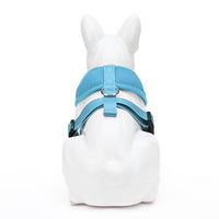 EcoBark Sky Blue Dog Harness - Over-the-Head Soft Mesh Dog Vest Halter for Small to Medium Dogs and Puppies - BIG FRENCHIES