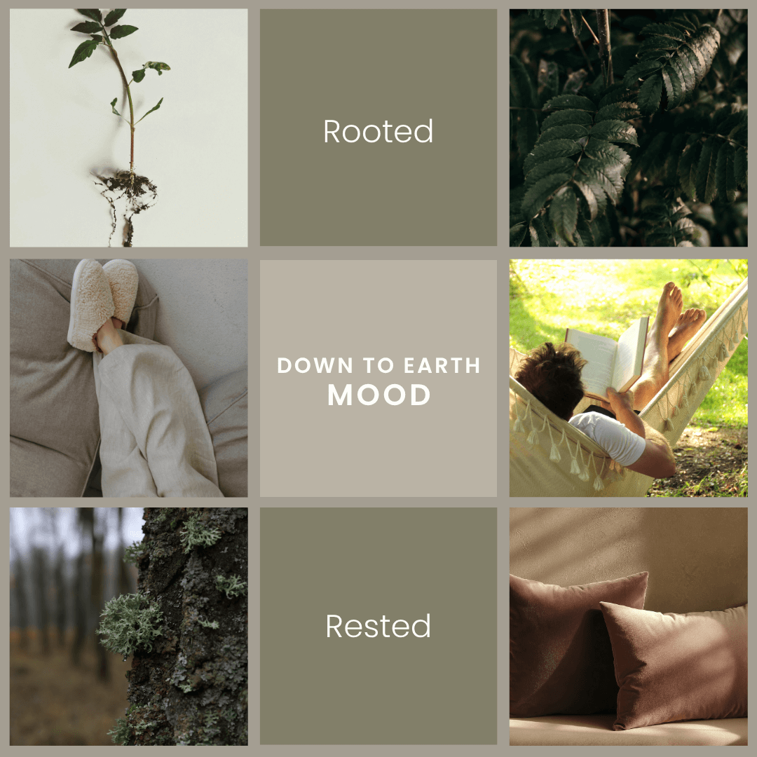 Down to Earth – Oakmoss & Sage Room Spray - BIG FRENCHIES