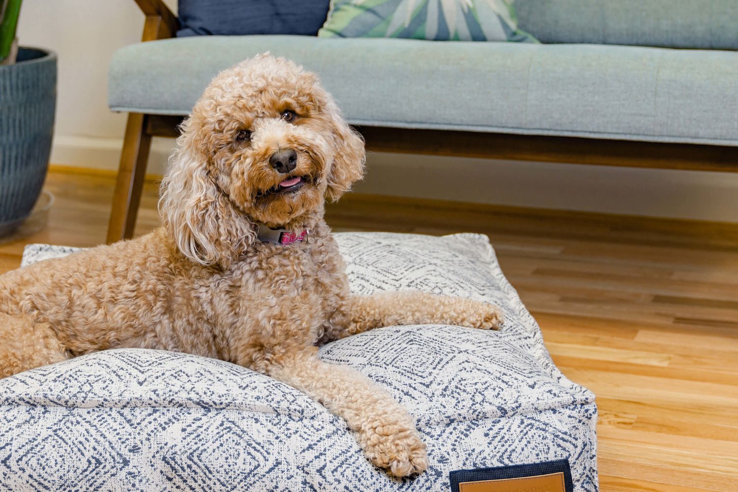 Lounger Pet Bed in Sapphire Spaniel - BIG FRENCHIES