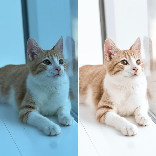 Dreamy Presets