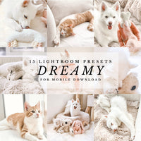 Dreamy Presets