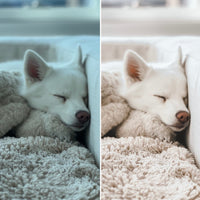 Dreamy Presets