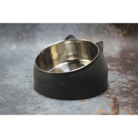 Durable Stainless Steel Cat Small Pet Bowl Easy Clean Cute Cat Feeding Bowls Drinking Water Feeder Tilt Dish For Pets