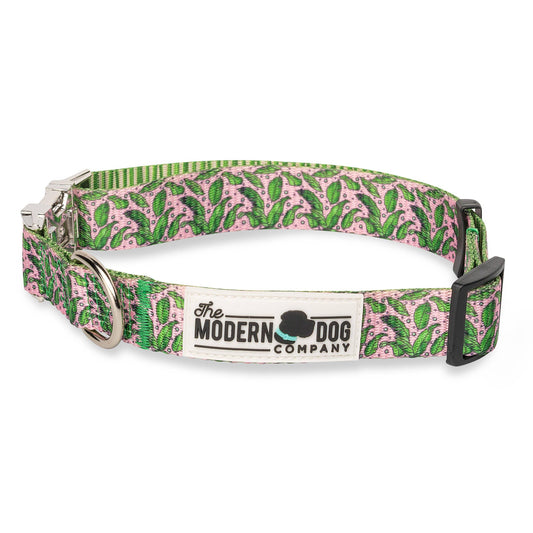 The Modern Dog Company - Pink Tropics Collar - BIG FRENCHIES