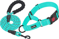 2 Packs Dog Training Collars for Small Medium Large Dogs - BIG FRENCHIES