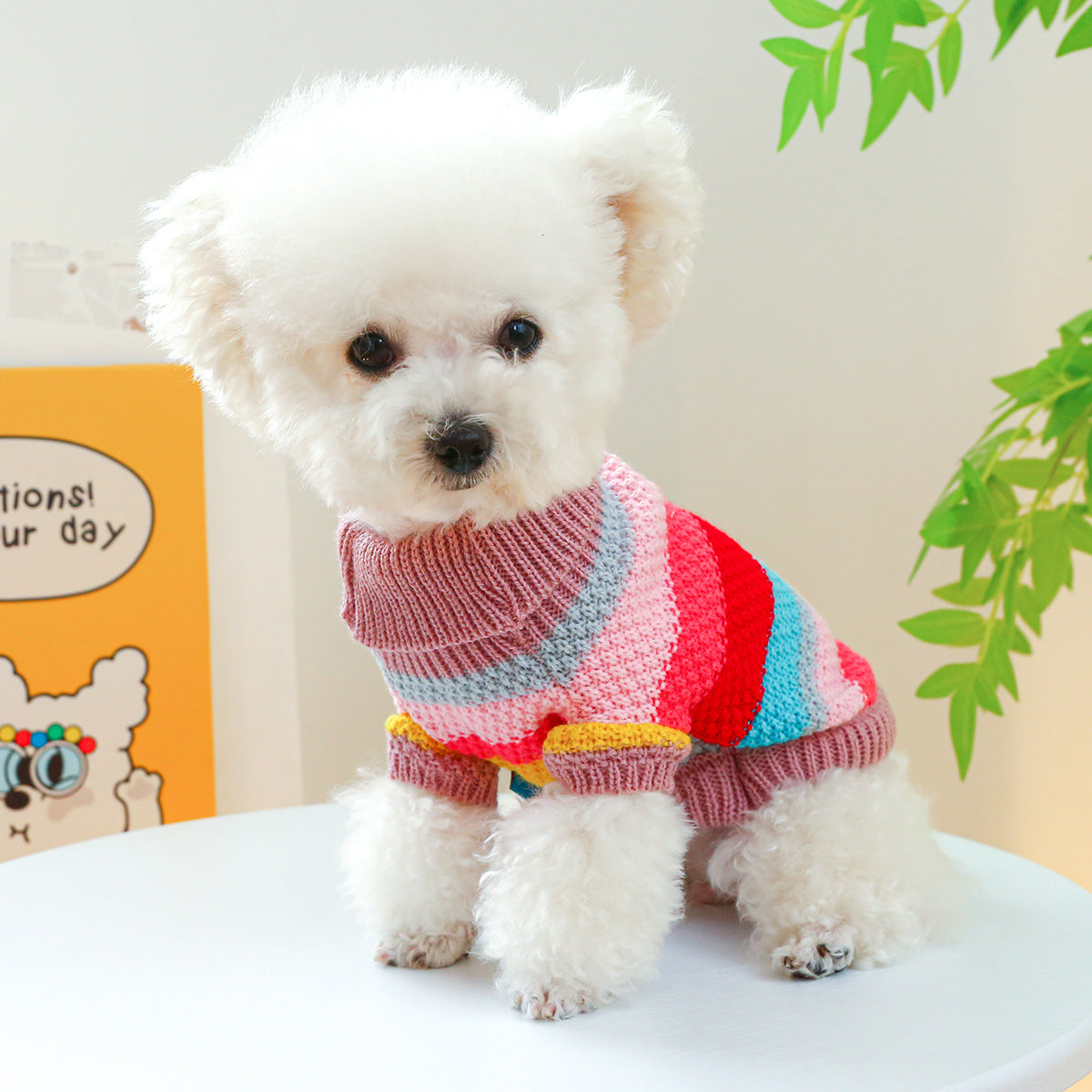 Pet Ring Comfortable Color Stripes Colorful Sweater