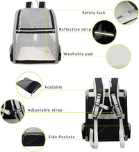 Bubble Backpack Pet Carriers for Cats and Dogs - BIG FRENCHIES