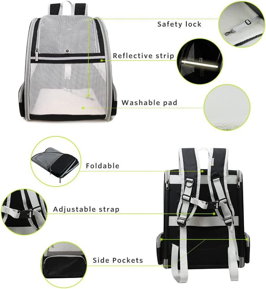 Bubble Backpack Pet Carriers for Cats and Dogs - BIG FRENCHIES