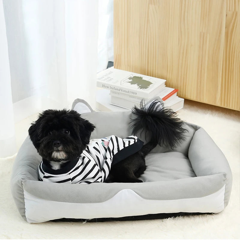 Super Soft Dog Beds & Cat Cushions - BIG FRENCHIES