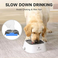 Splash-Free Floating Water Bowl for Dogs & Cats (1L) - BIG FRENCHIES