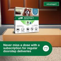 Vet-Recommended Flea Prevention for Medium Dogs 11-20 Lbs, 6-Monthly Treatments - BIG FRENCHIES