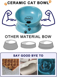 Elevated Cat Food Bowl, Ceramic Raised Cat Bowl, Tilt Angle Protect Cat'S Spine, anti Vomiting Cat Dish, Backflow Prevention, Lake Blue - BIG FRENCHIES