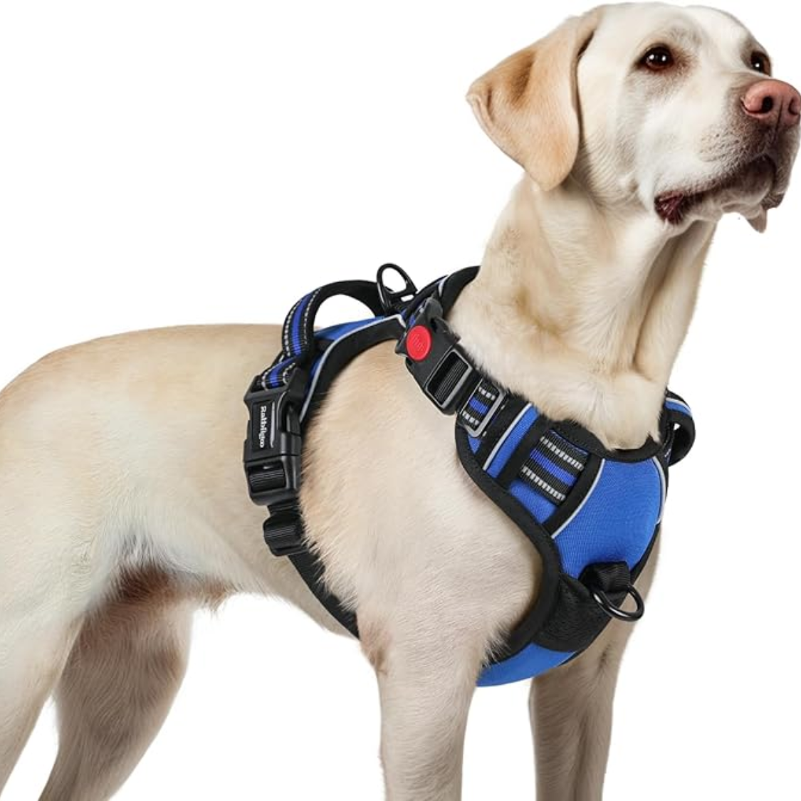 Dog Harness For Large, No Pull Easy On & Off With 3 Buckles Pet Harness, Adjustable Soft Walking Vest With 2 Clips And H