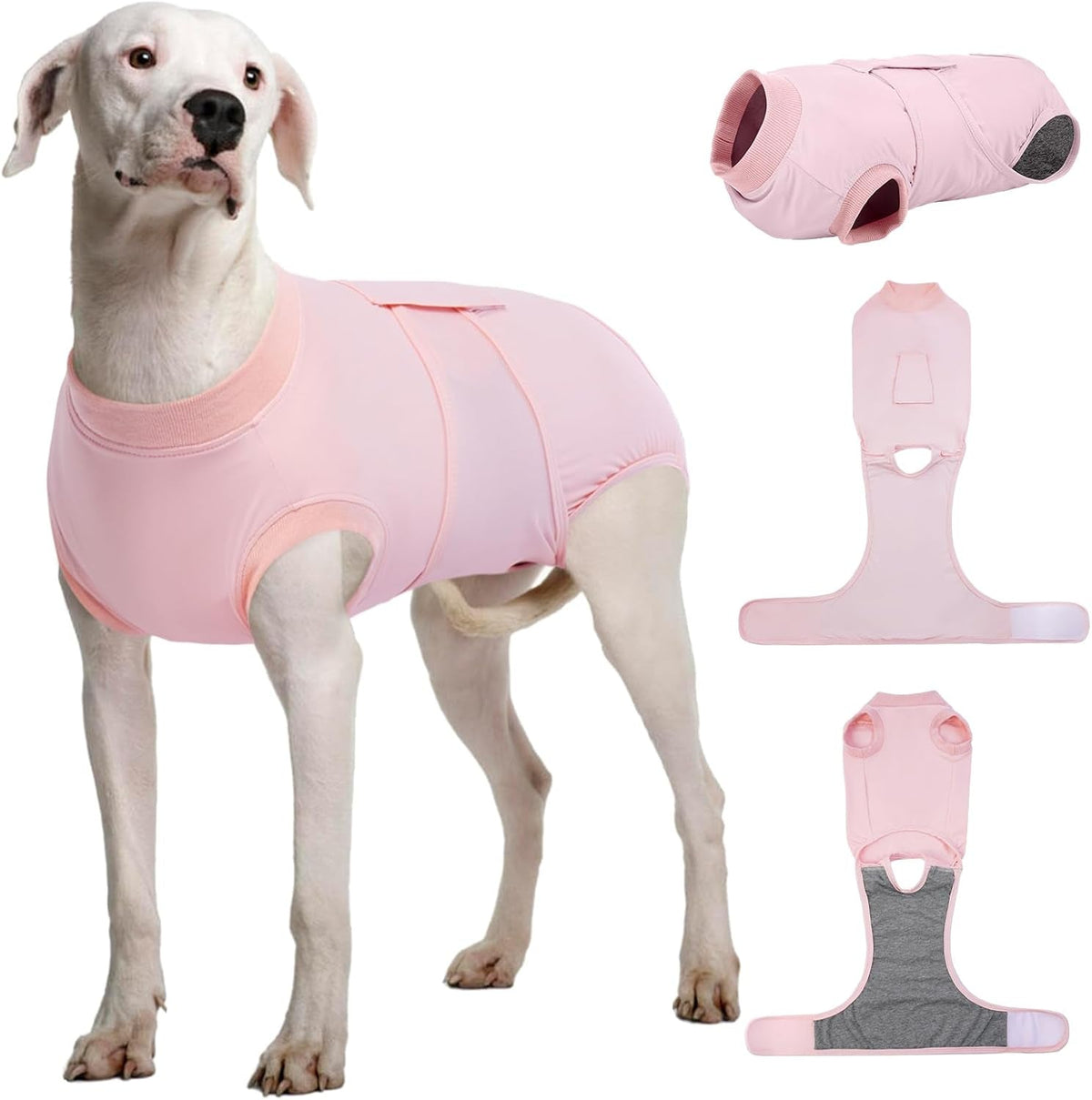Female Dog Recovery Suit After Spay, XS–2XL