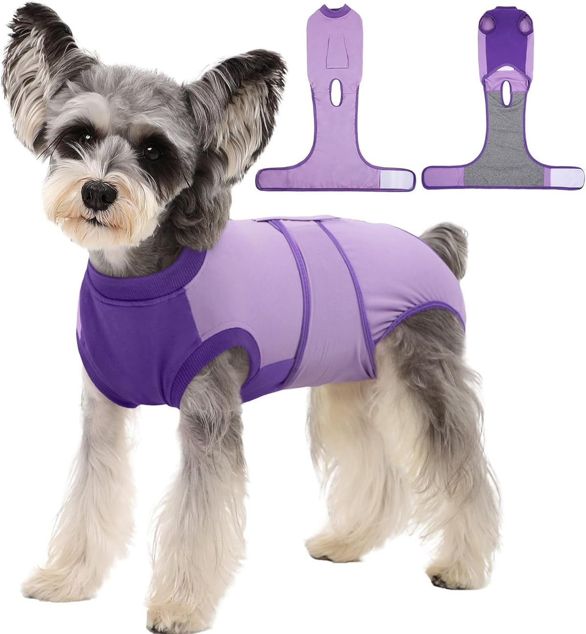 Female Dog Recovery Suit After Spay, XS–2XL