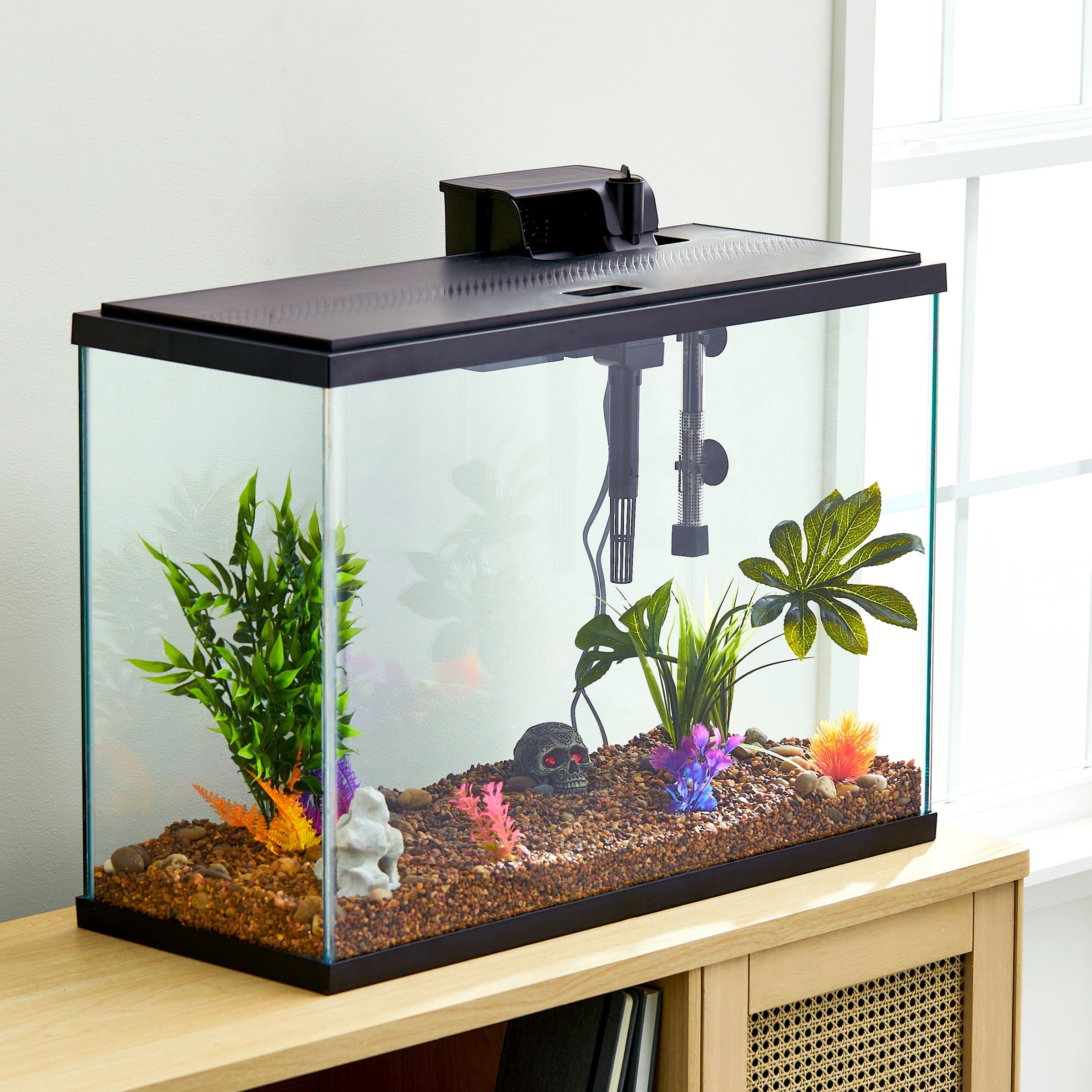 Glass 29 Gallon Aquarium Starter Kit, Black, 30.2''L X 12.44''W X 21.18''H - BIG FRENCHIES
