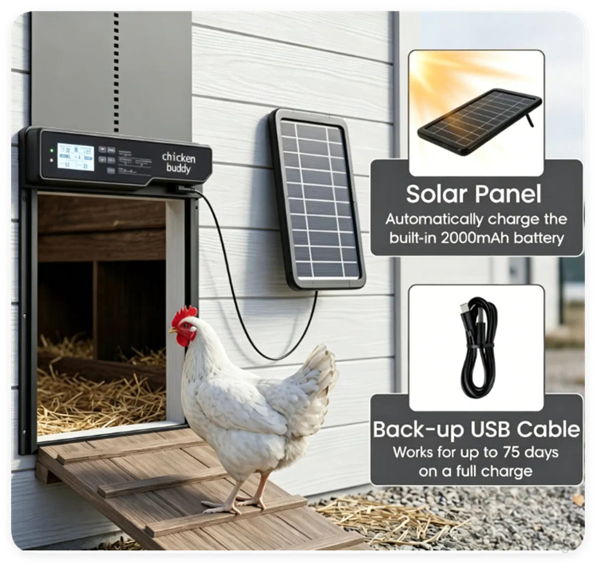 Solar Powered Automatic Chicken Coop Door with 4 Control Modes Light Sensor Timer Remote Manual, Anti-Pinch Weatherproof