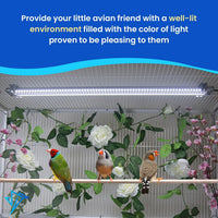 Illuminate Your Bird's World with the Happybird Full Spectrum LED Light - Safe, Easy-to-Install, and Perfect for Soft Bill Birds - BIG FRENCHIES