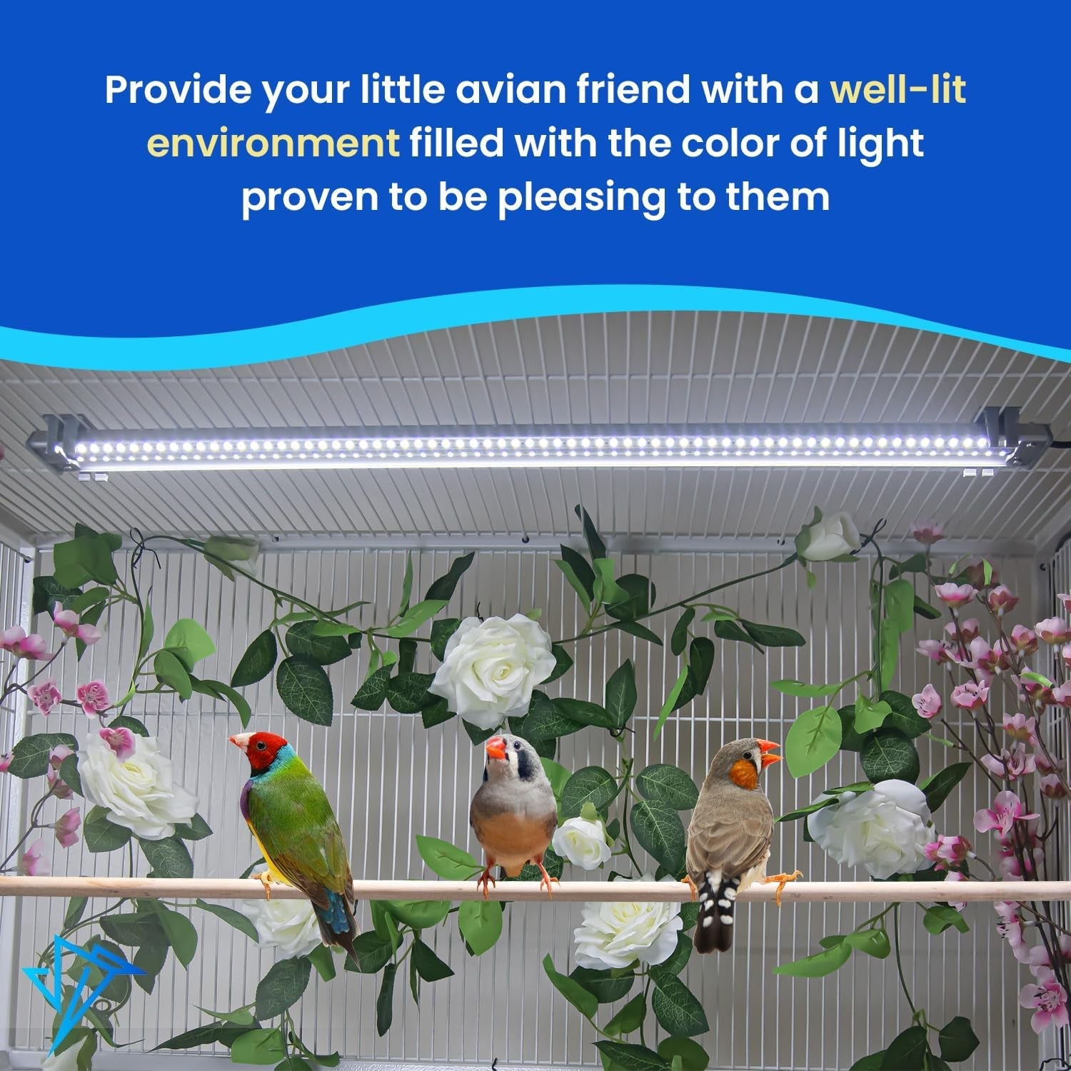 Illuminate Your Bird's World with the Happybird Full Spectrum LED Light - Safe, Easy-to-Install, and Perfect for Soft Bill Birds - BIG FRENCHIES