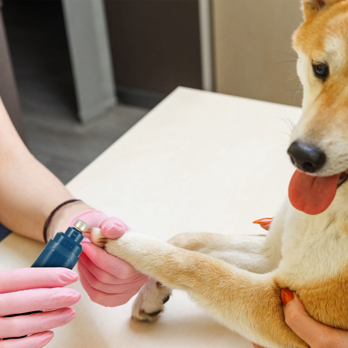 1Pc Dog Nail Grinder 2 Speeds Quiet USB Rechargeable Pet Nail Grinder Professional Pet Nail Trimmer Cordless Paws Groomi